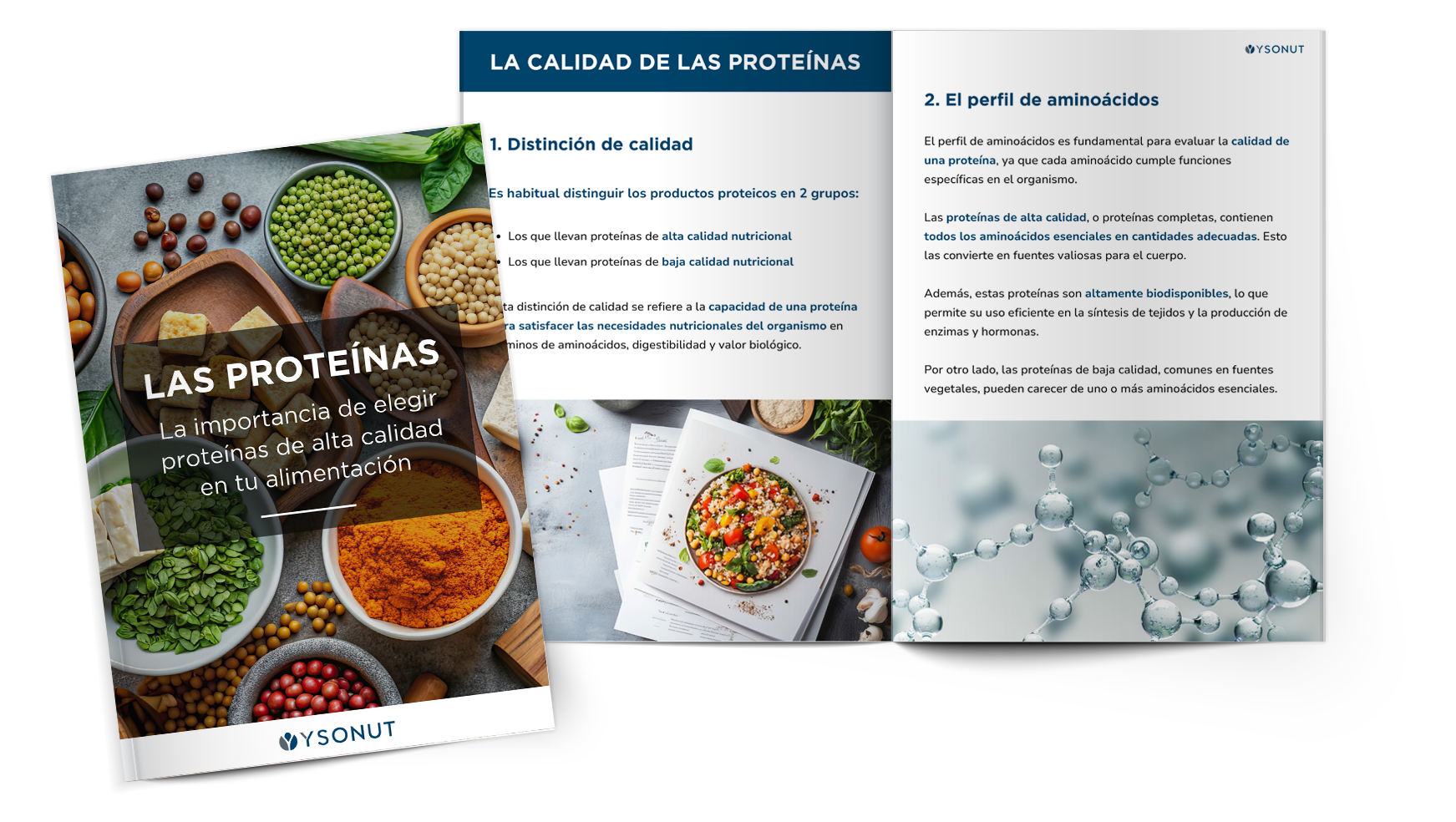 e-book de recetas
